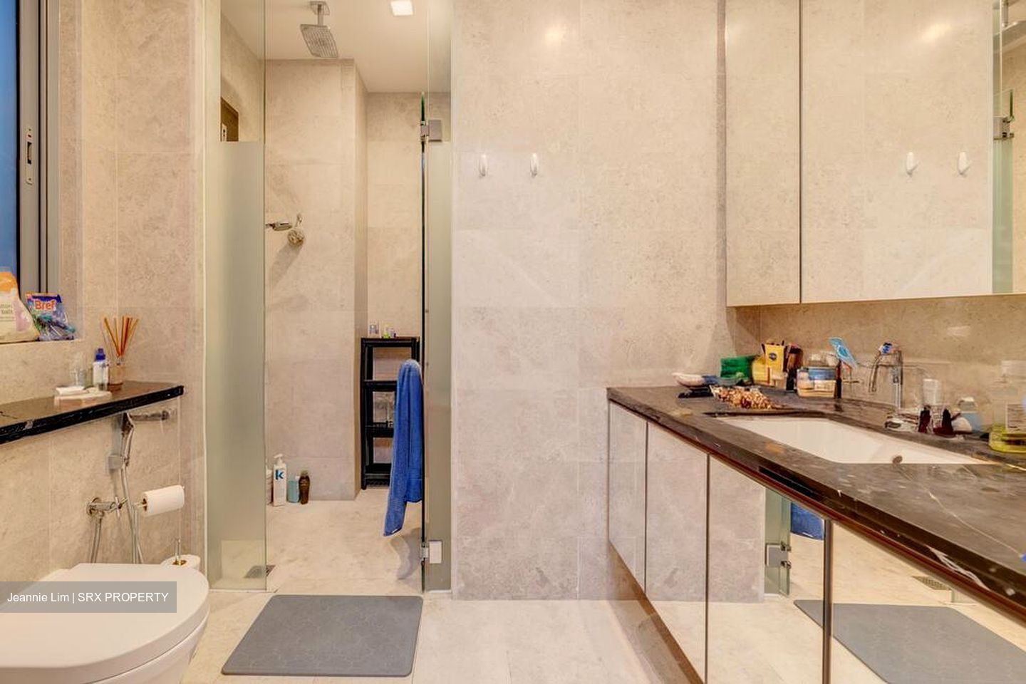 The Boutiq (D9), Apartment #523073221